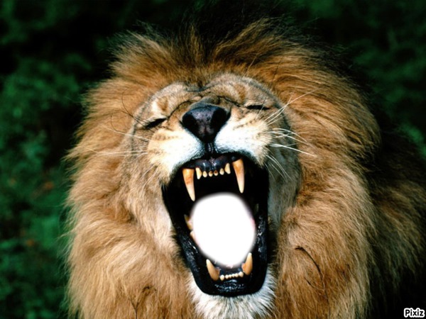 Lion Fotomontaggio