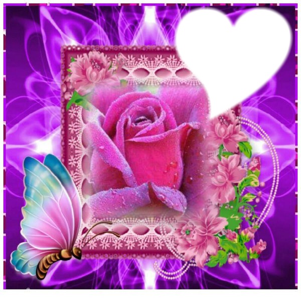 cadre violet avec rose Valokuvamontaasi
