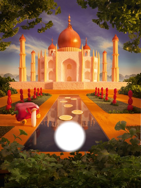 Taj Mahal Photo frame effect