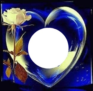 blue rose Φωτομοντάζ