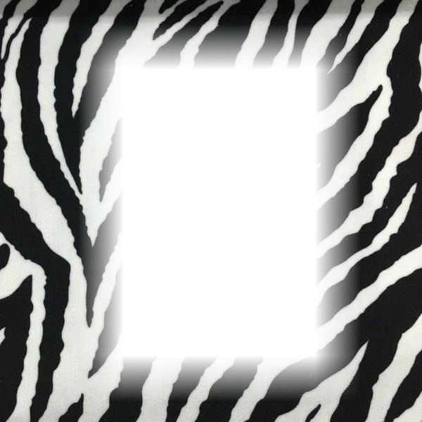 zebra frame Fotomontagem