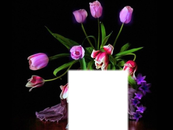 Fleurs* Photo frame effect