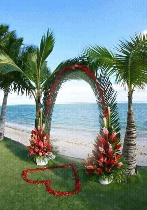 renewilly arco de palmas Фотомонтаж