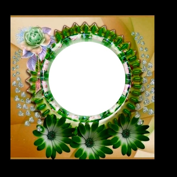 Mari19 Circulo de  flores Photo frame effect