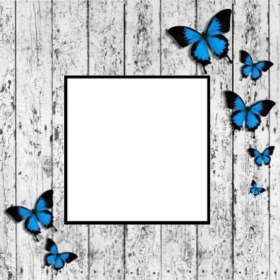 marco sobre madera y mariposas azules. Fotomontáž