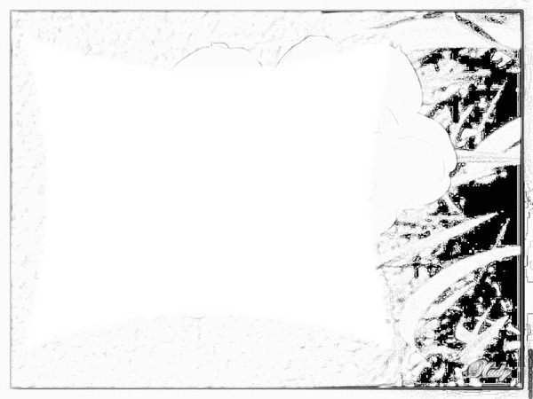noir et blanc Photo frame effect
