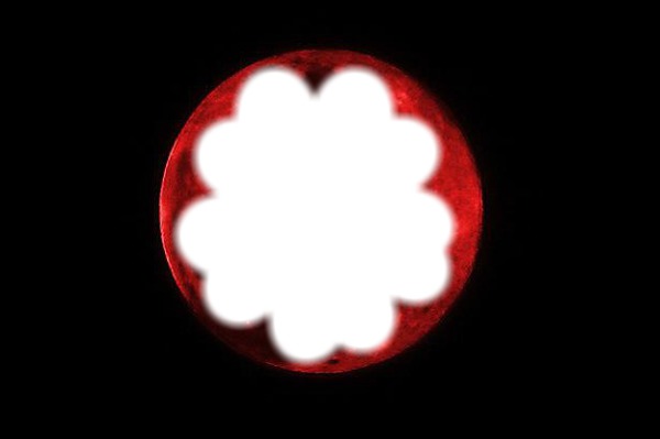 fleur de la lune rouge Фотомонтажа