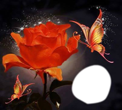 Rose et papillons Fotomontáž