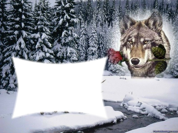 lobo en nieve Fotomontagem
