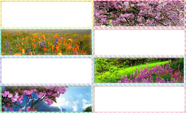 Cadre fleur Fotomontage