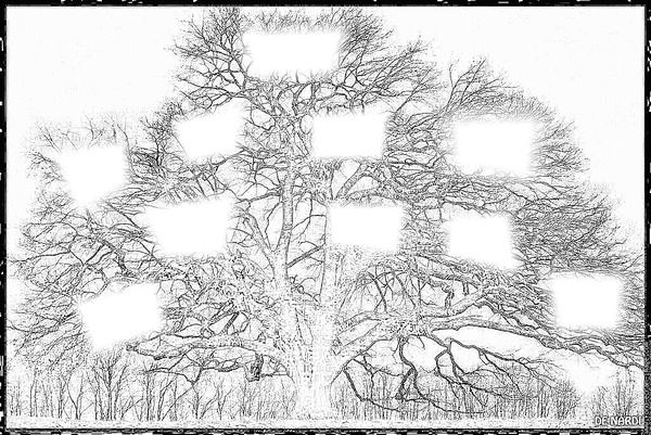 arbre genealogique Fotomontaža