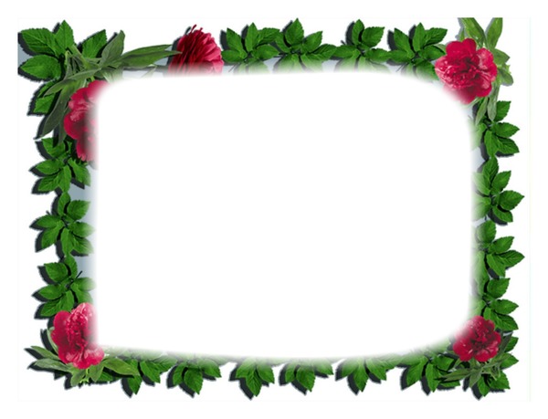 frame flowers Montage photo
