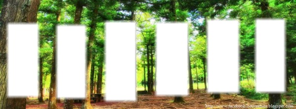 forêt Fotomontage