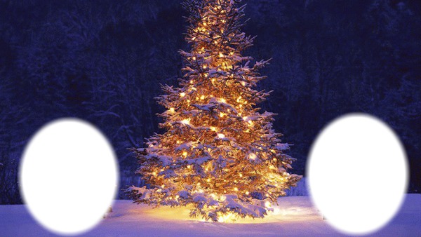 Christmas tree Фотомонтаж