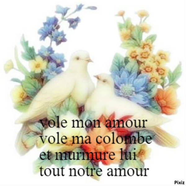 mon amour,ma colombe Fotomontage