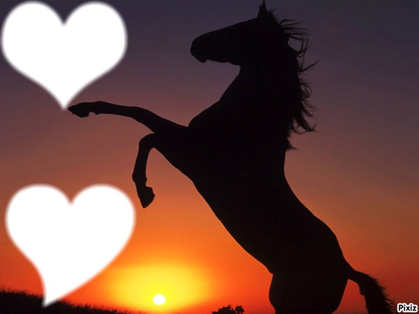 L'amour des chevaux <3 Fotomontáž