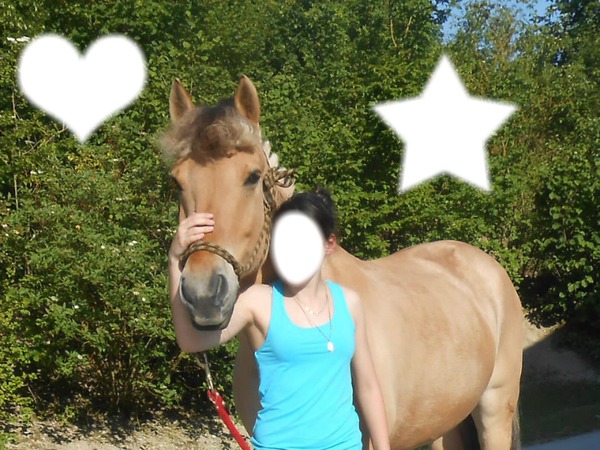 cheval <3 julius etoile coeur Fotomontaža