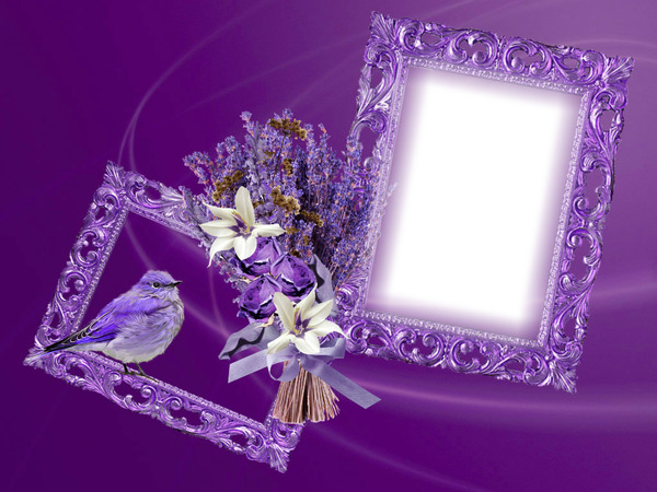 Cadre purple Montaje fotografico