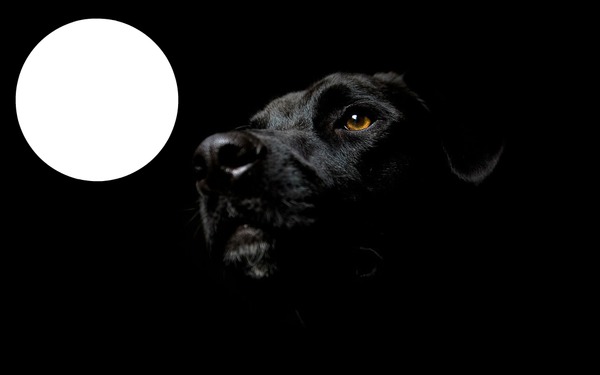 Черно Куче Фотомонтаж