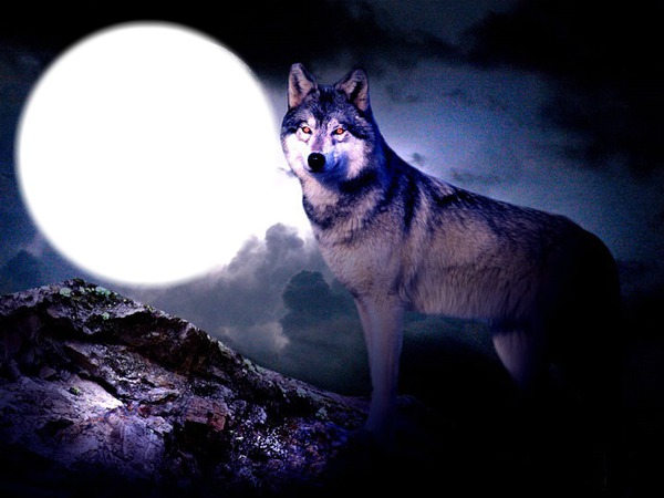 Wolf Fotomontāža