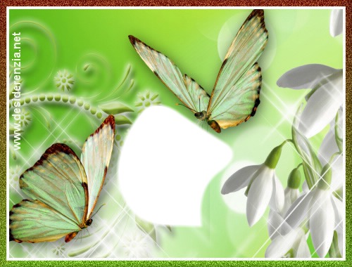 Papillon Fotomontaža