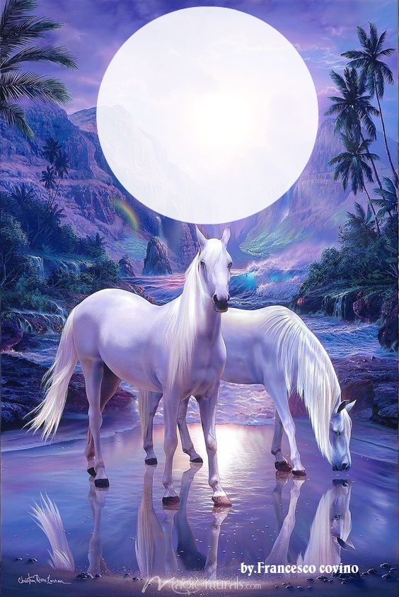franco cavalli bianchi Фотомонтаж
