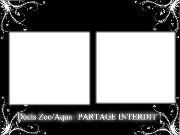 Duels zoo Photomontage