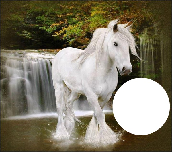 Cheval Magali Photo frame effect