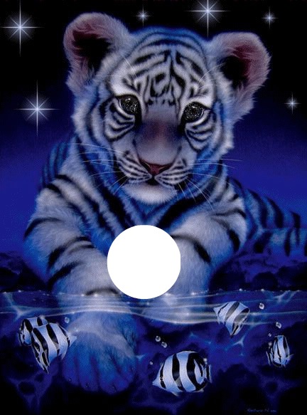 tigre bleu Fotomontāža