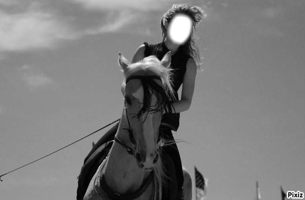 Cavalière sur beau cheval ! Photo frame effect