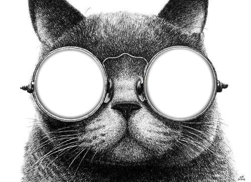 gato con lentes フォトモンタージュ