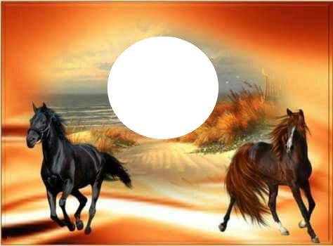 horses Fotomontage