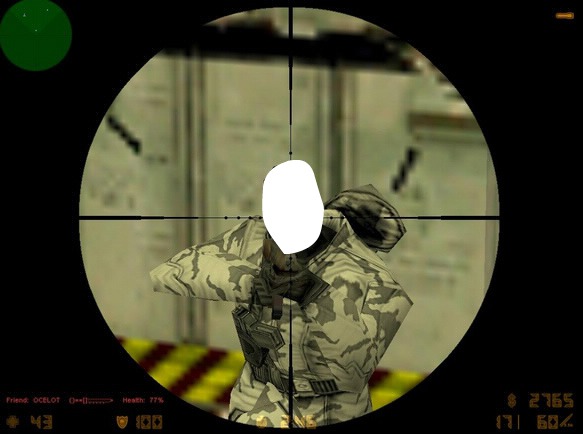 Counter Strike Photo frame effect