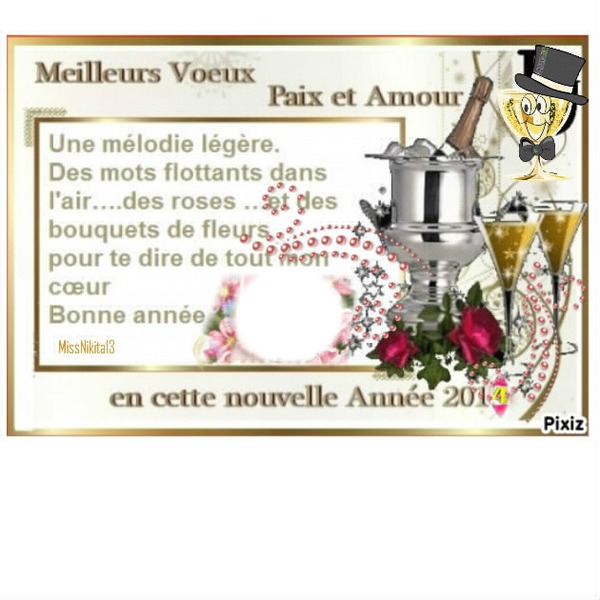 Meileurs Voeux 2014 Photo frame effect