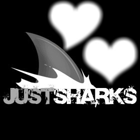 Shark Love Fotomontaggio