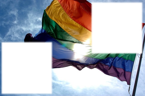 gay flag Photo frame effect