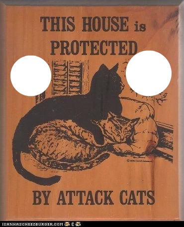 attack cats warning sign-hdh Valokuvamontaasi