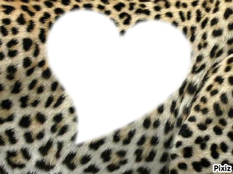 Leopard en coeur <3 Montaje fotografico