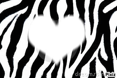 Zebra Photo frame effect