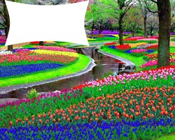 jardim de flores coloridas Fotomontagem