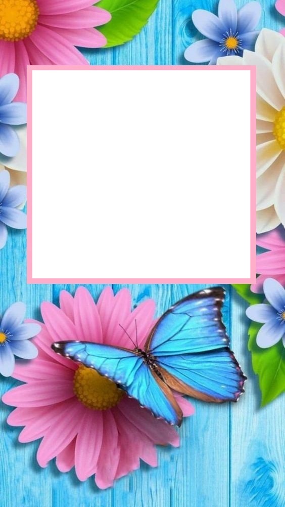 marco, flores y mariposa, fondo turquesa. Montaje fotografico