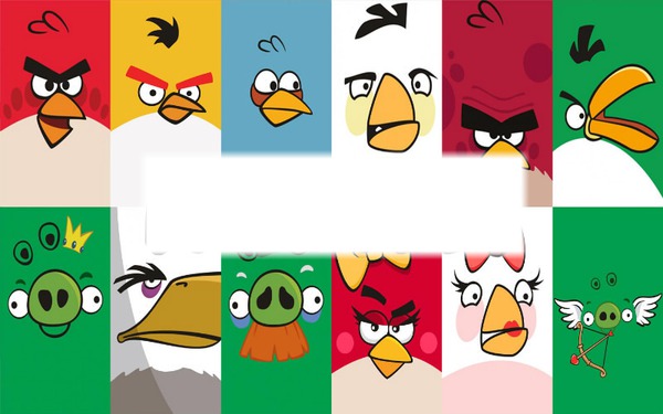 angry birds Montage photo