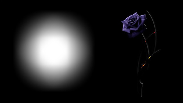 Purple Rose Photomontage