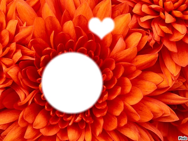 Fleur Orange Fotomontaggio