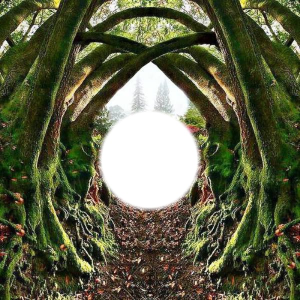 le tunnel Photomontage