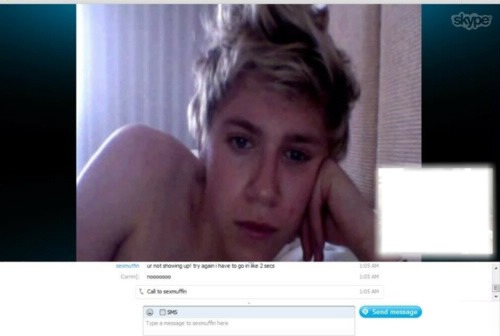 skype with niall horan Montage photo