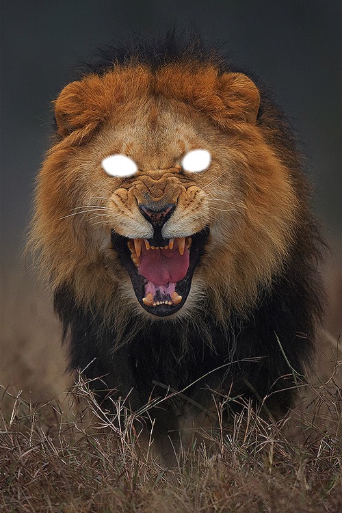 le roi lion Photo frame effect