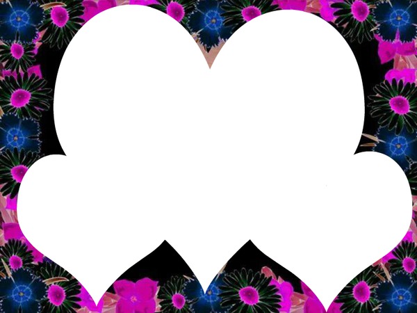 3 coeurs avec fleurs fuchia et bleu noir 3 photos Photomontage