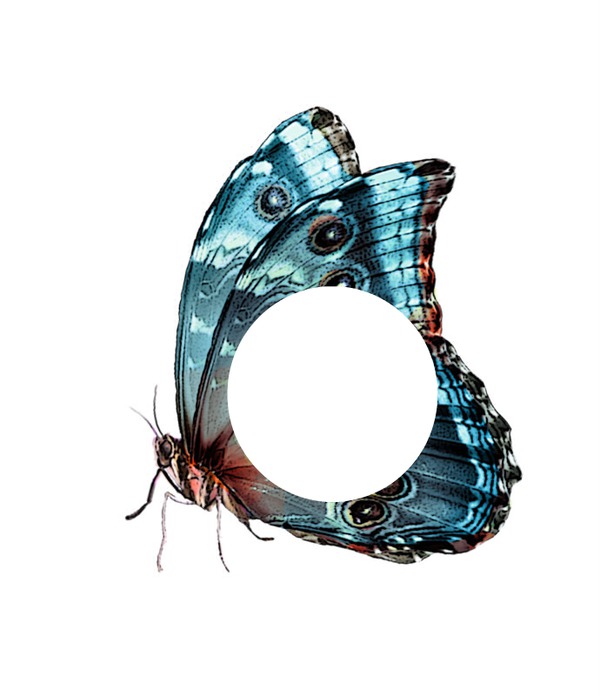 Papillon Fotomontage