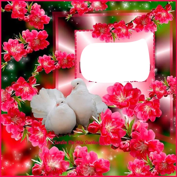 palomas con rosas Photo frame effect